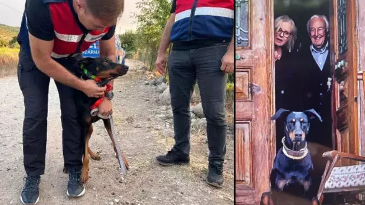 Ekonomist Korhan Berzeg'den 200 gündür iz yok! Tina'da dikkat çekici davranış, araç gördüğünde...