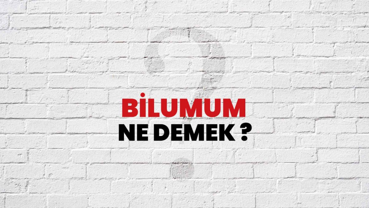 Bilumum Ne Demek Türk Dilinde Kullanılan İlginç Bir İfade