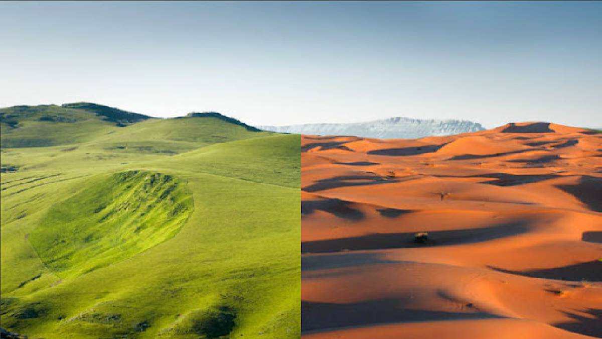 The Fascinating Drought Story of the Sahara Desert: Scientists Uncover its Surprising Past as a Meadow