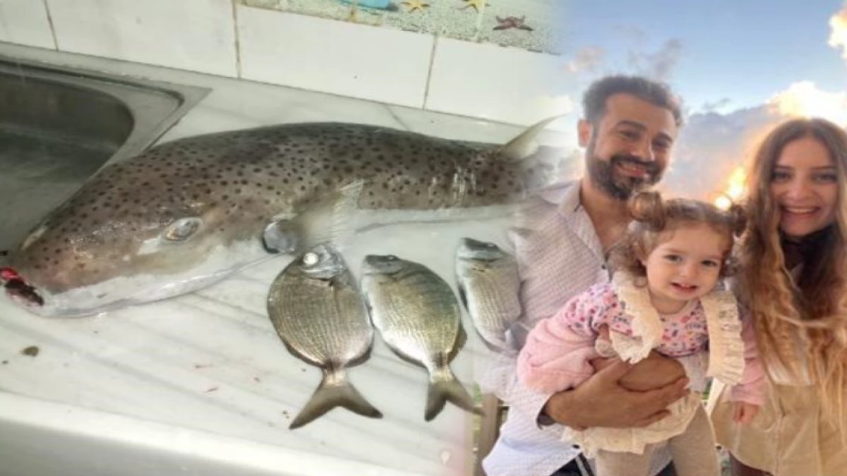 Balon balığı yiyerek zehirlenmişlerdi! Olayların detayı herkesi şaşırttı: "Hayatımda böyle lezzetli balık yememiştim"