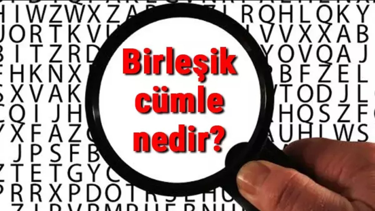 Birleşik Cümle Nedir: Türkçenin Yapısını Anlamak
