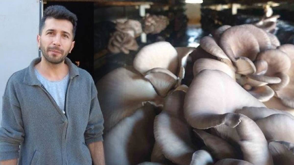 Yılda 20 ton üretiyor kilosunu 39 liradan satıyor! Gübre falan istemiyor atıkları değerlendiriyor paraya para demiyor