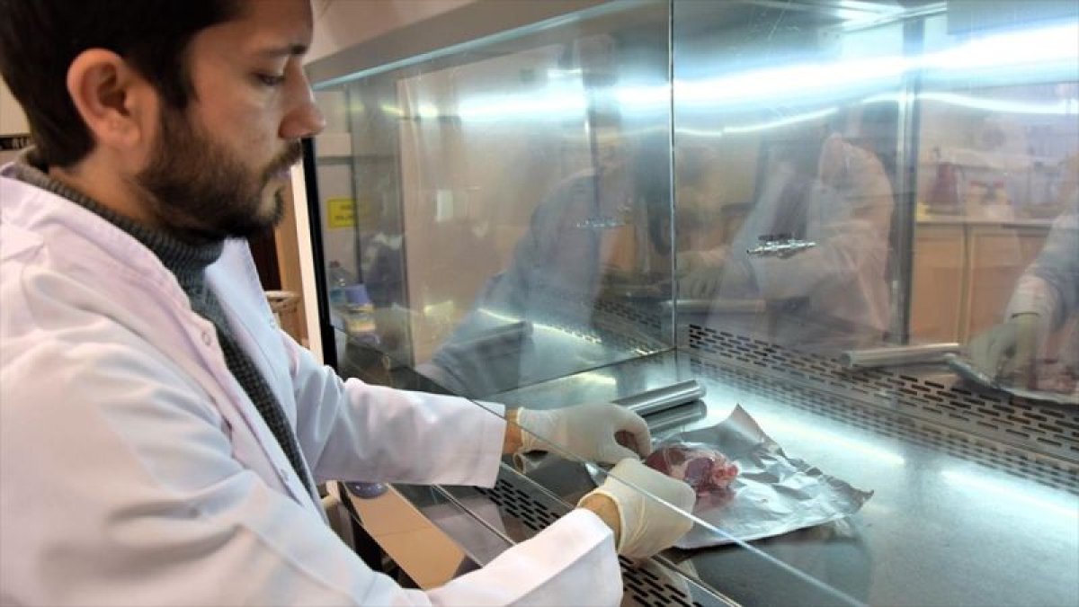 Kalp hastalarına koyun kapakçığı alternatifi