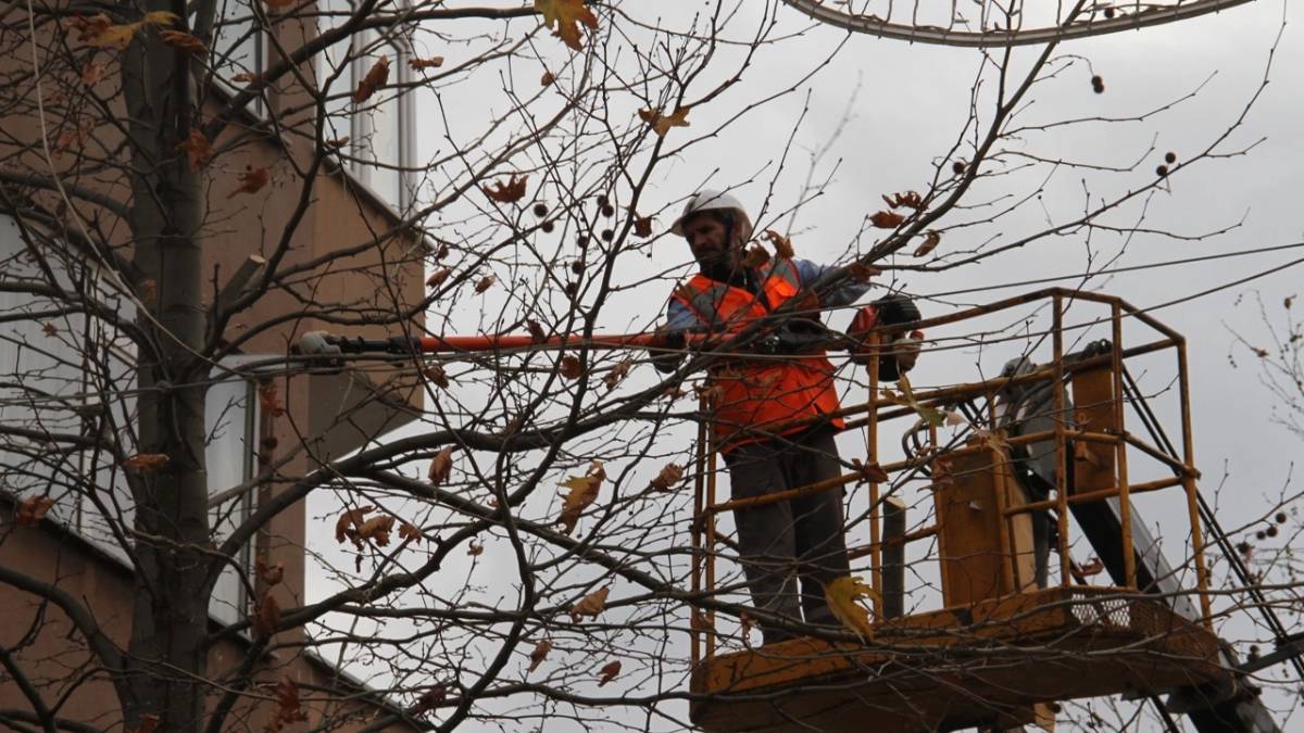 Kartal’da budanan ağaçlar ihtiyaç sahiplerine yakacak olarak geri dönüyor