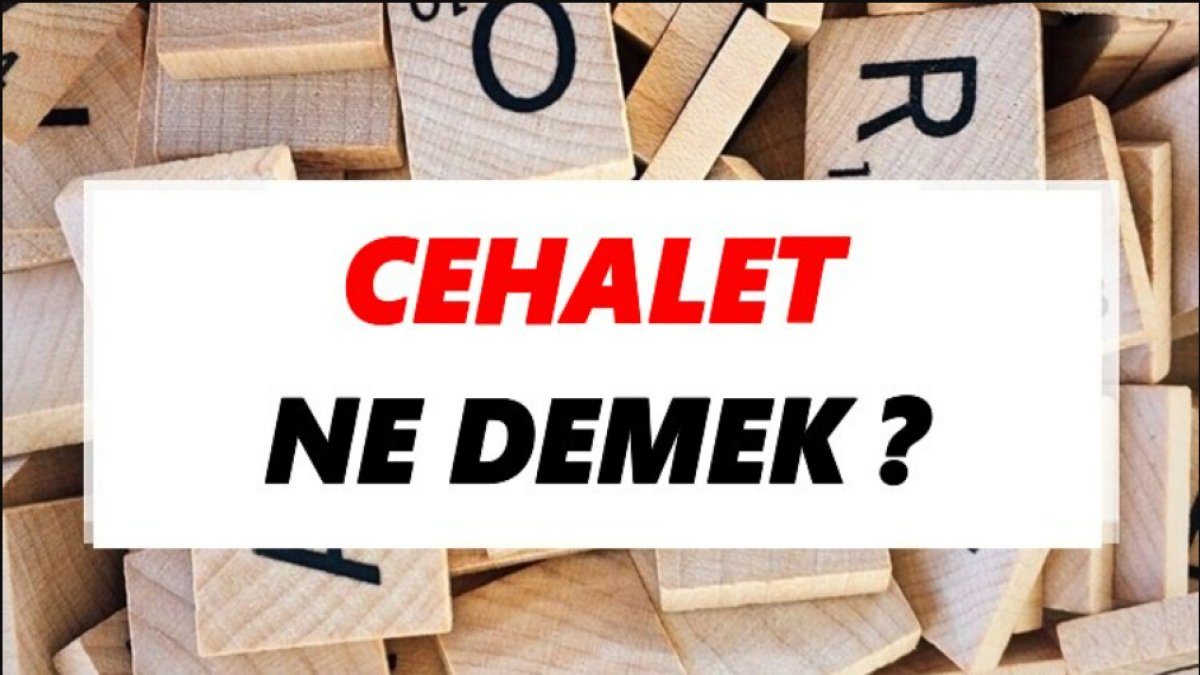 Cehalet Ne Demek: Bilgisizlik ve Eğitim Eksikliği Üzerine Bir İnceleme
