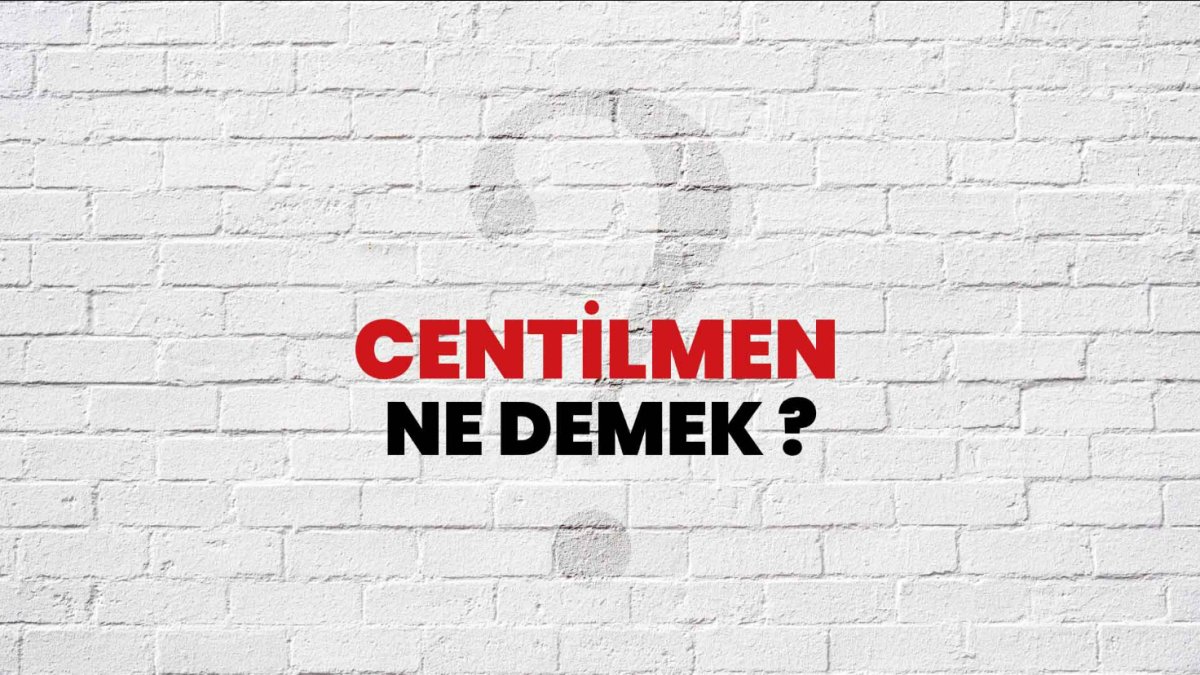 Centilmen Ne Demek? - Anlamı, Özellikleri ve Centilmenlik Kuralları