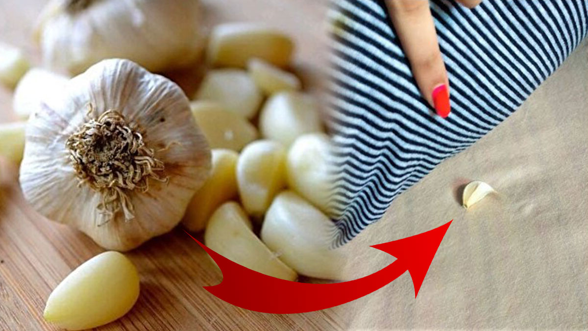 Uyurken yastığın altına sarımsak koyup uyuyun, mucizeye tanık olun! Çok şaşıracaksınız, o rahatsızlığı şıp diye kesecek