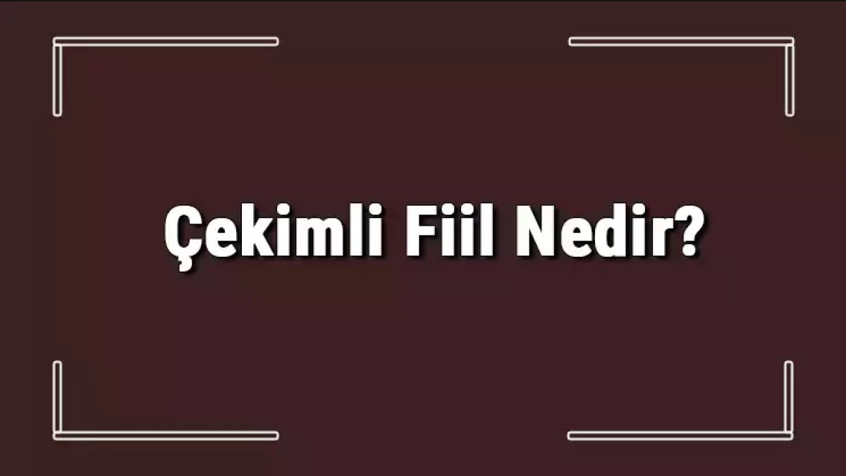 Çekimli Fiil Nedir: Türkçe Dilinin Temel Kavramları