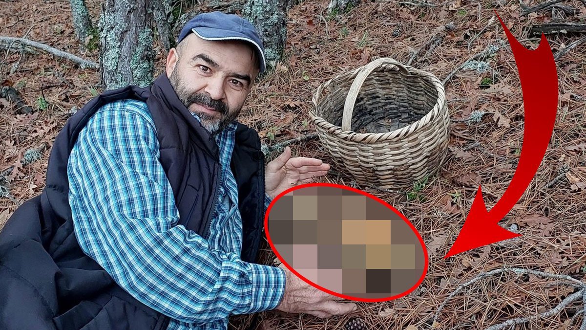 Ormanda dolaşırken bir anda karşısına çıktı: Tam 17 santimetre! Büyüklüğü karşısında şaştı kaldı