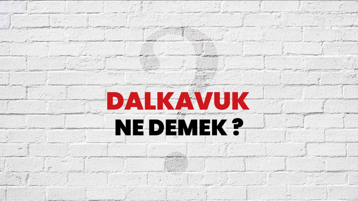 Dalkavuk Ne Demek: İşte Anlamı ve Tarihi Kökenleri