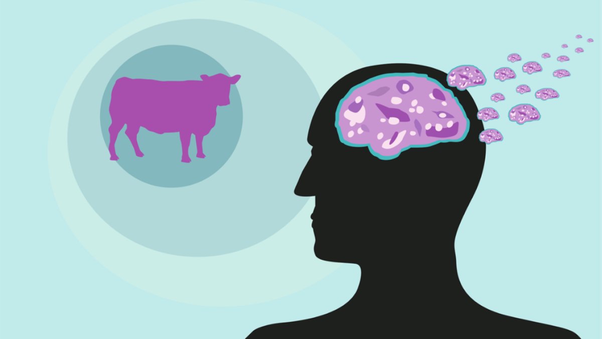 Deli Dana Hastalığı: Nedir ve Nasıl Önlenir?