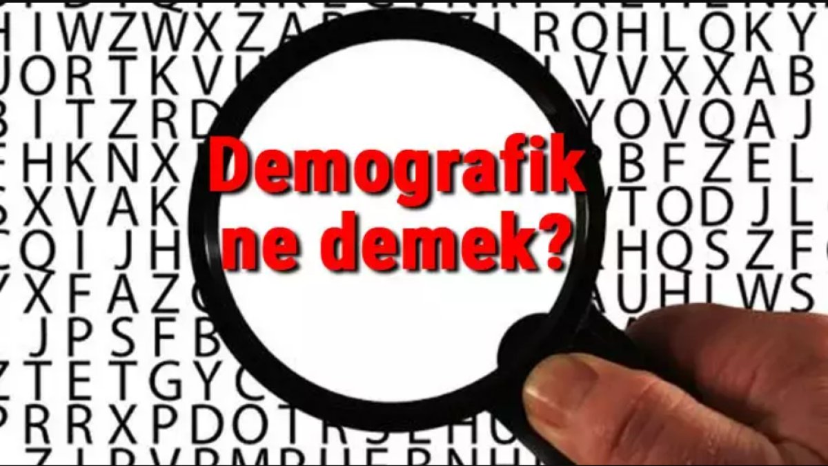 Demografik Yapı Ne Demek: Türkiye'nin Nüfus Yapısı ve Önemi