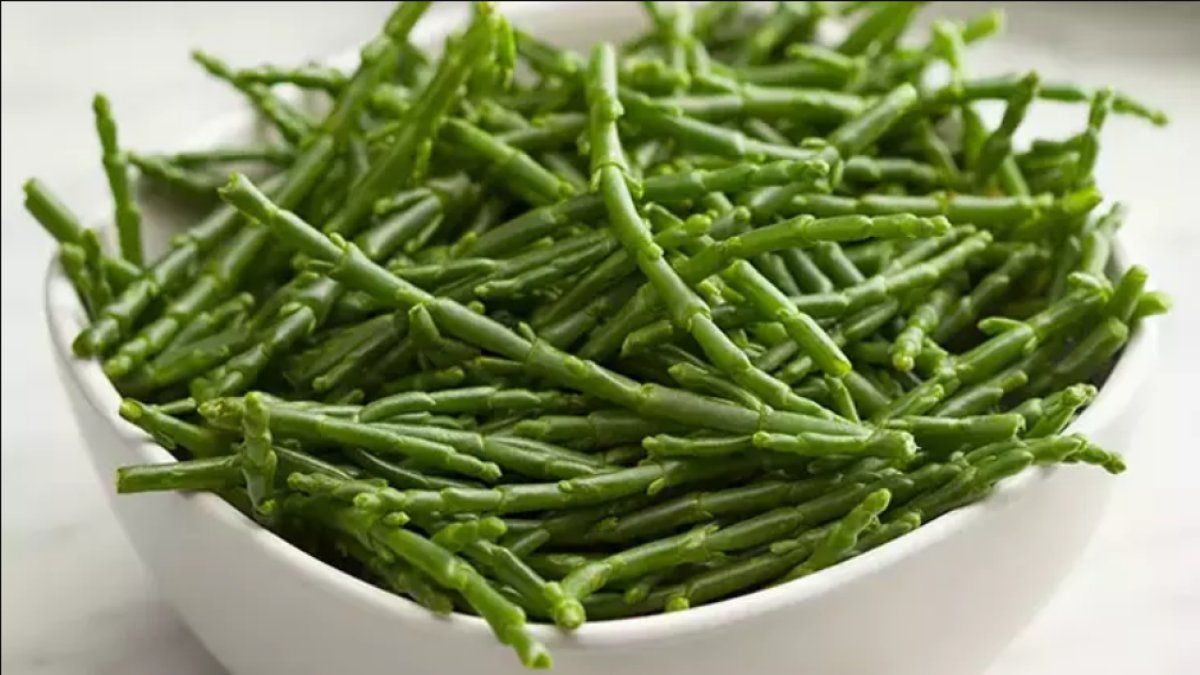 Deniz Börülcesi Tarifi: Sağlıklı ve Lezzetli Bir Salata Tarifi