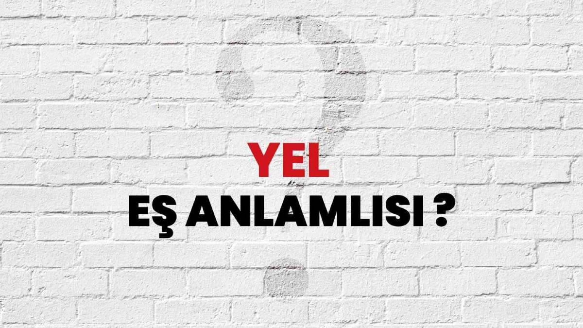 Yel eş anlamlısı