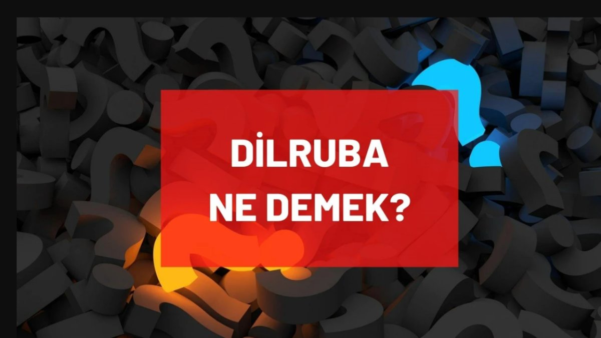 Dilruba Ne Demek? Türkçede Anlamı ve Kullanımı