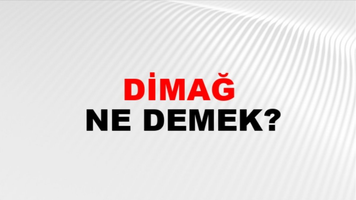Dimağ Ne Demek: Zihin ve Akıl Arasındaki Farklar