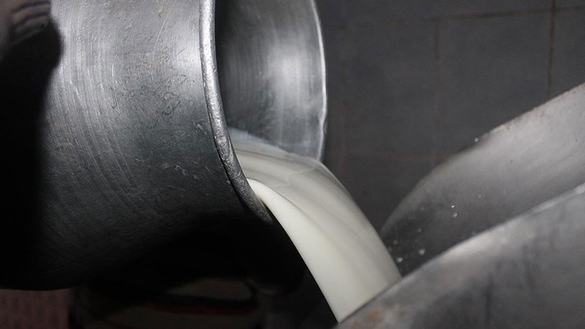 Ulusal Süt Konseyi açıkladı: Çiğ süt tavsiye fiyatına zam