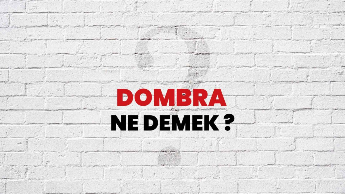 Dombra Ne Demek: Türkülerimizin Derin Anlamı