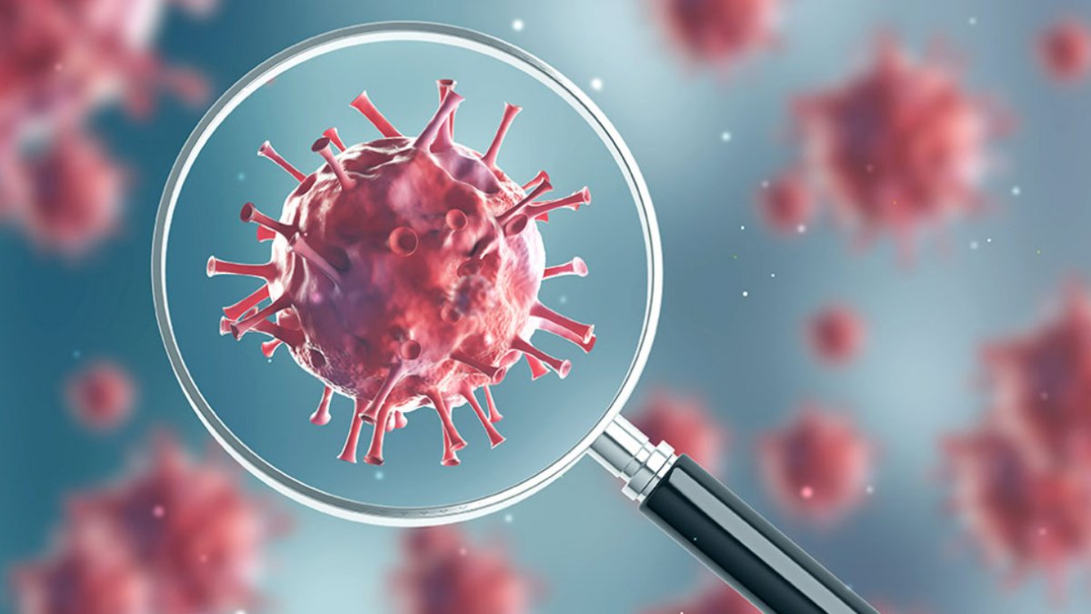 Domuz Gribi Belirtileri: Tanı, Tedavi ve Önleme Yolları