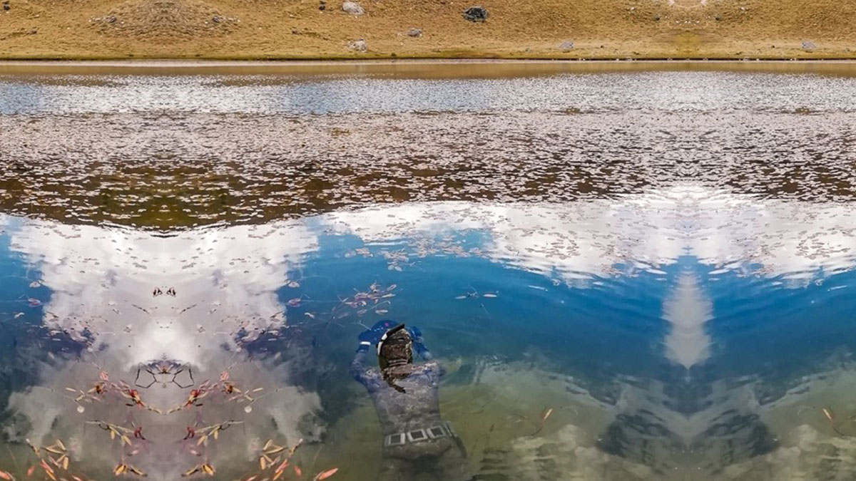 Dünyada ilk kez görüntülendi: Sadece o kentimizde yaşıyor! Her yıl yabancı turistler akın ediyor