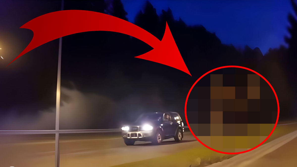 Caddenin ortasında bir anda beliriverdi: Sürücüler küçük dilini yuttu! Şehir merkezinde volta atıyor