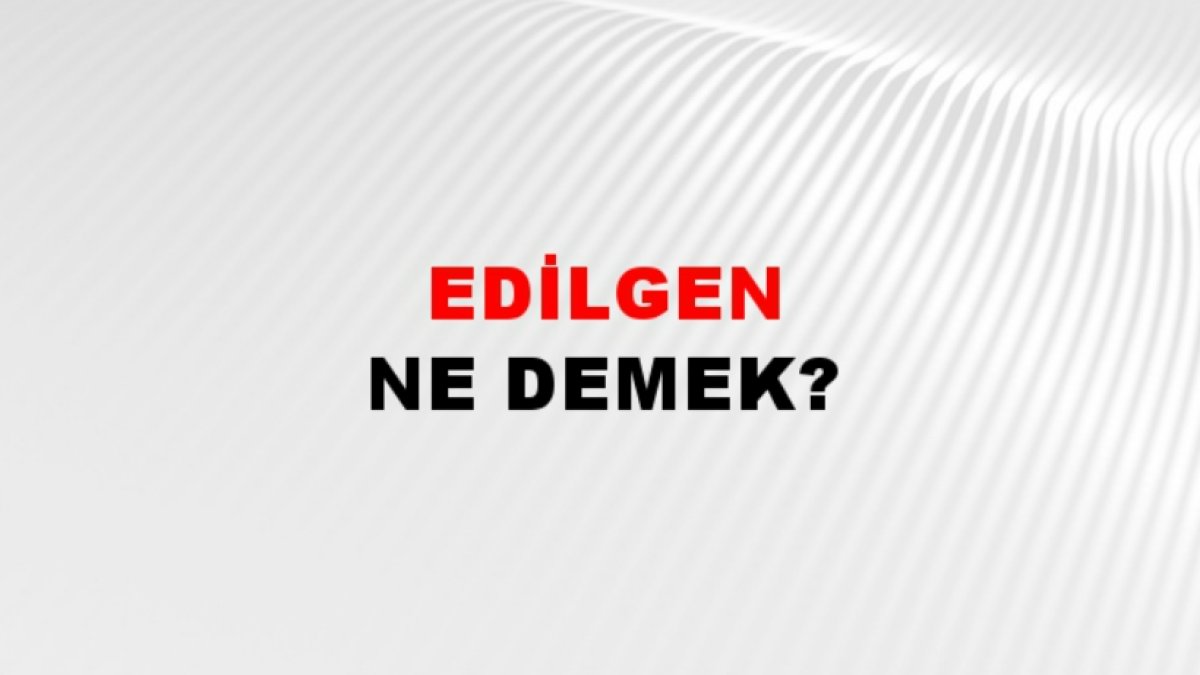 Edilgen Ne Demek? Anlamı ve Örneklerle Açıklaması