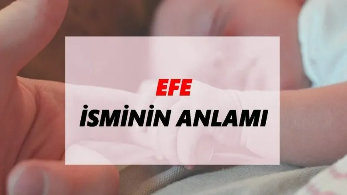 Efe İsmi ve Anlamı: Türk Kültüründe Önemli Bir İsim