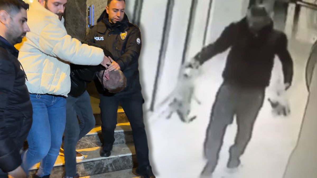 Kedileri toplayıp vahşice öldüren cani yakalandı: Daha önce eşine de şiddet uyguladığı ortaya çıktı