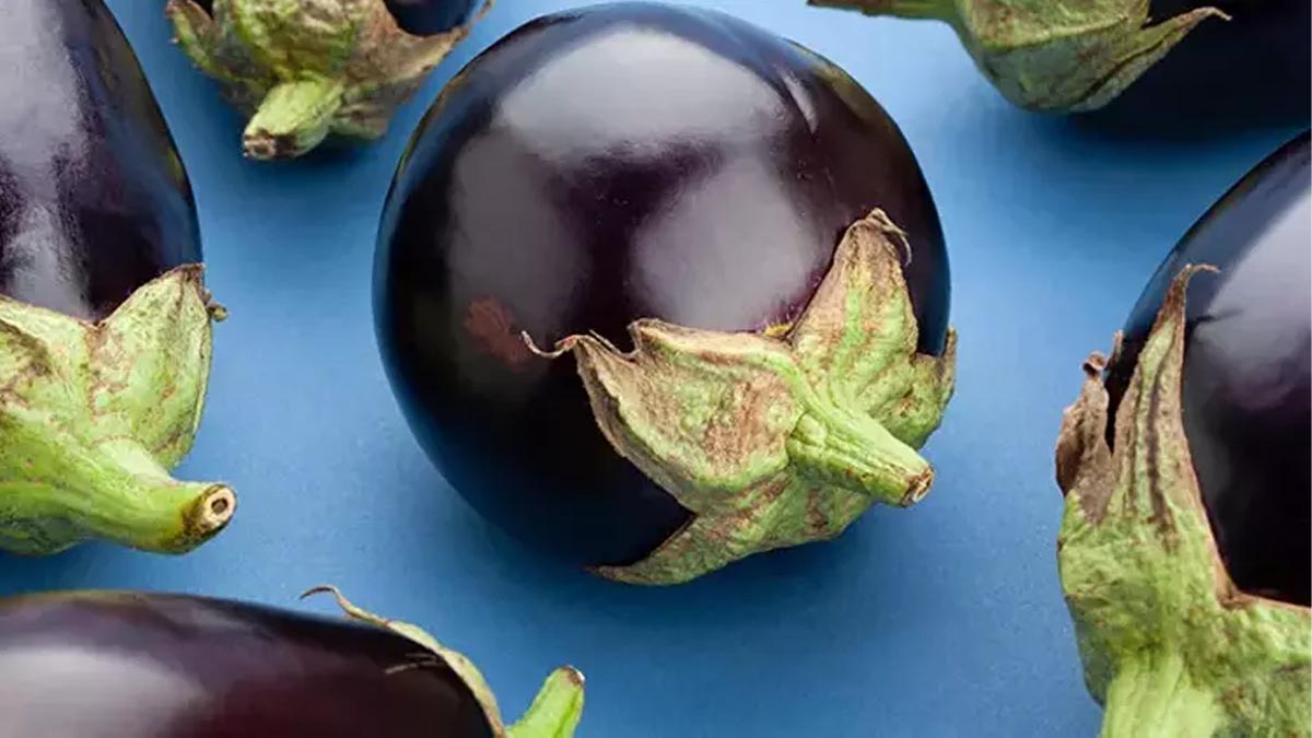 Patlıcanın saplarını atanlar bunu bilmiyor! Bir tanesini bile ziyan etmeyin, bakın attığımız o saplarla neler yapılıyormuş