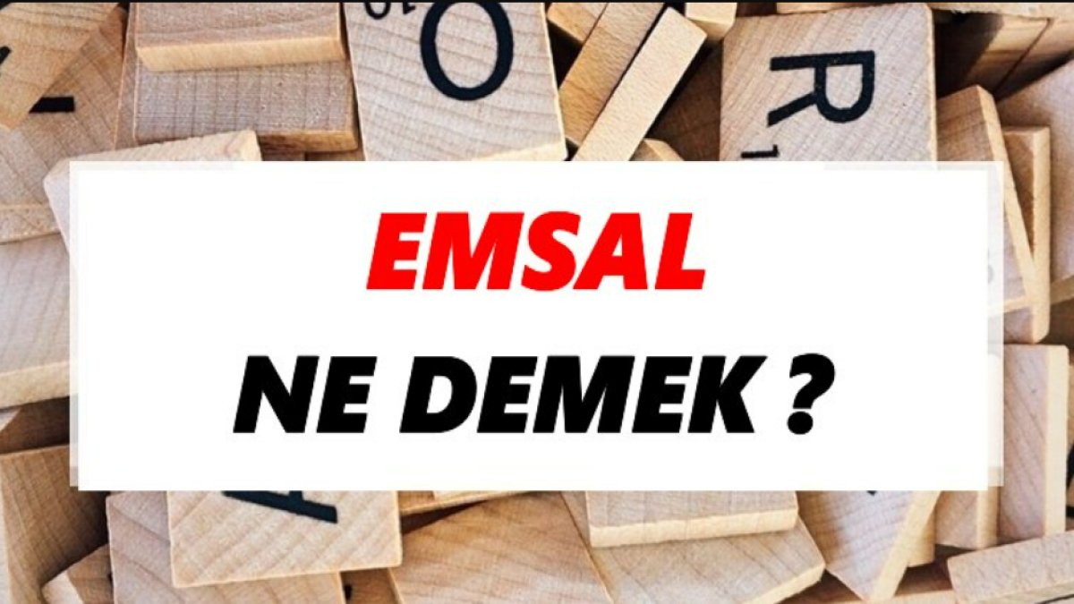 Emsal Ne Demek? Anlamı ve Örnekler