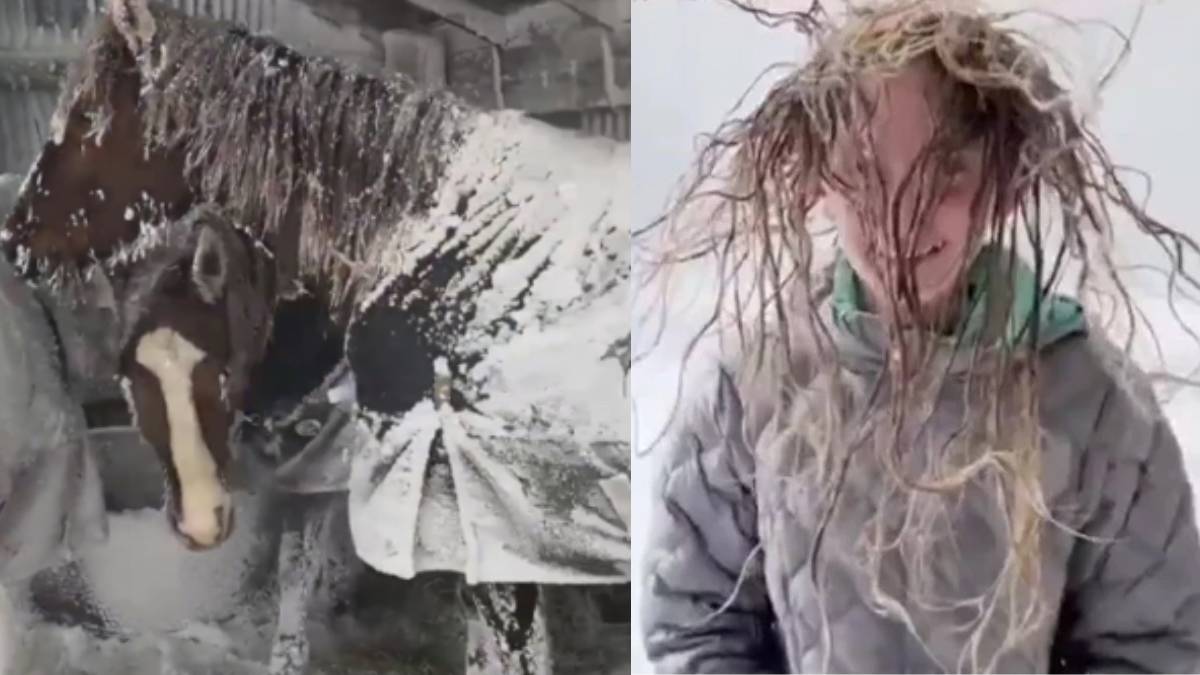 İnsanların saçlarından ahırdaki atlara kadar her şey dondu! O ülkedeki soğuk resmen hayatı felç etti: Donma riski artıyor