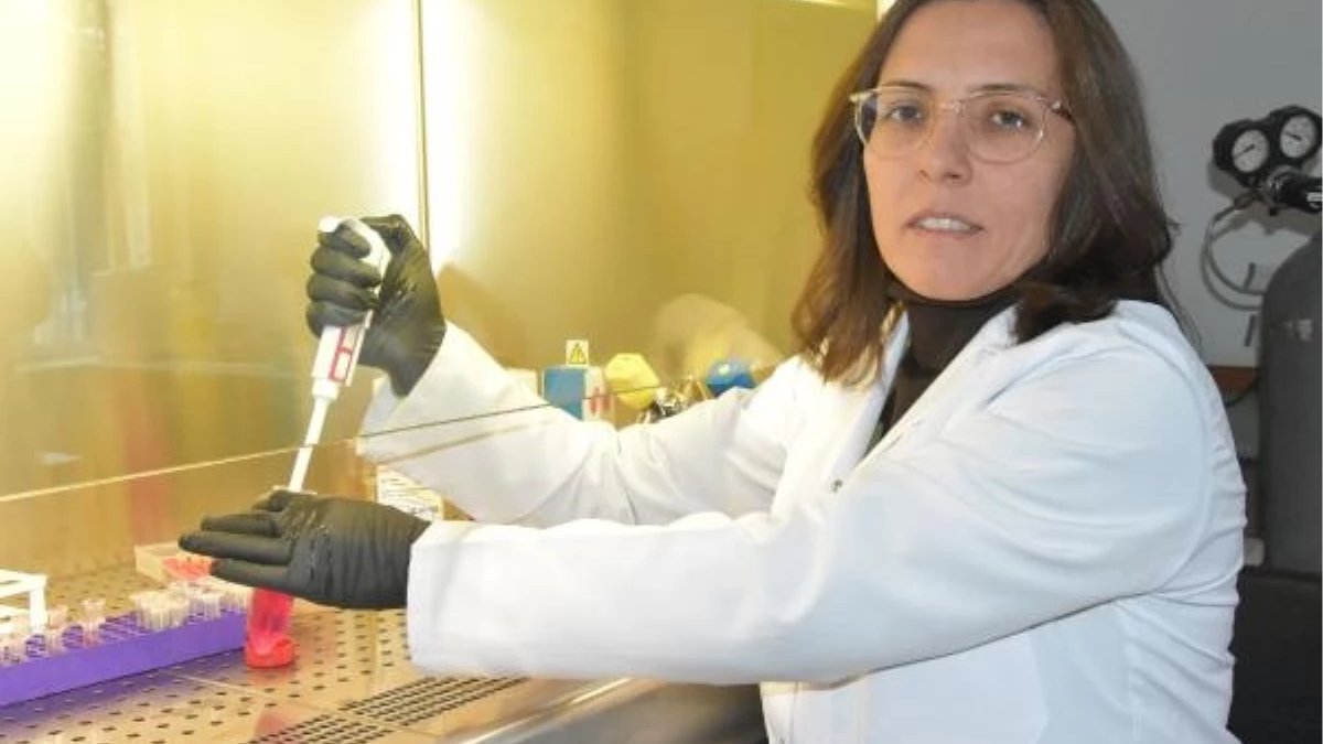 Kanser hücresinin yayılmasını Türk bilim kadınının buluşu önleyecek