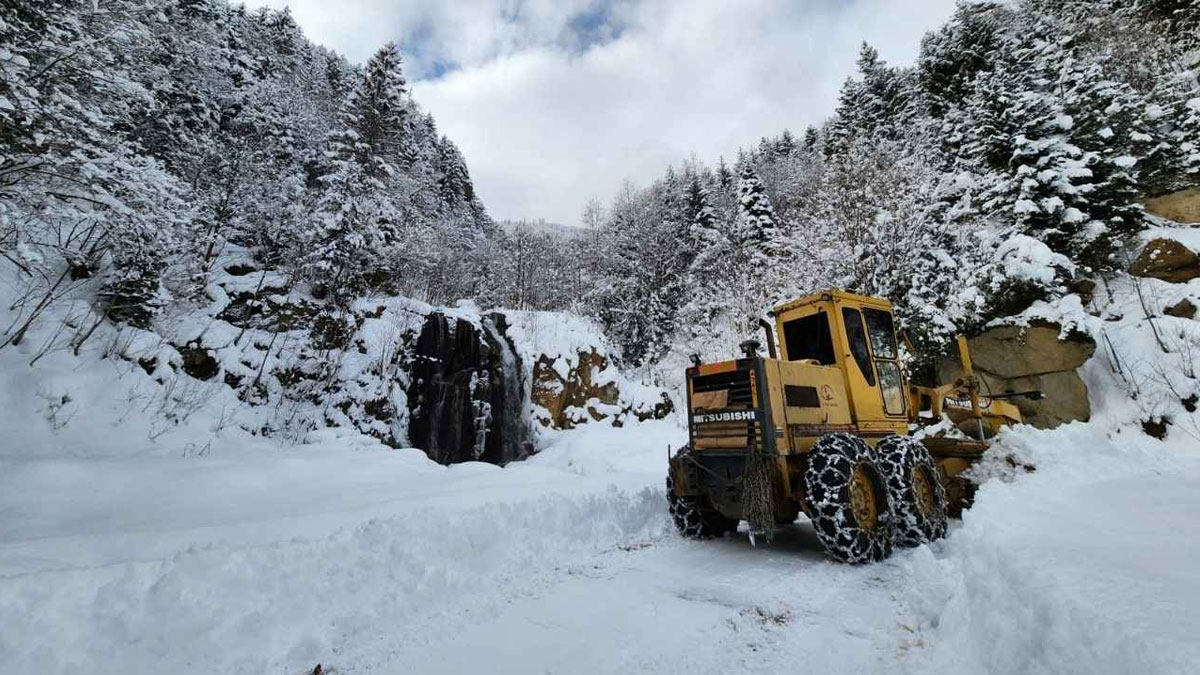 Kar yağışı, Doğu Karadeniz'i esir aldı: 220 köye ulaşım sağlanamıyor