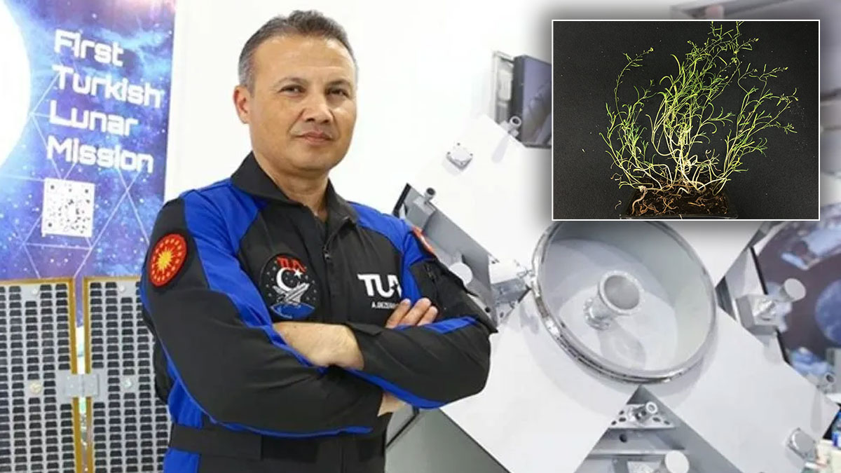 Alper Gezeravcı ilk deneyine başladı: Tuz Gölü'ndeki endemik bitki uzayda
