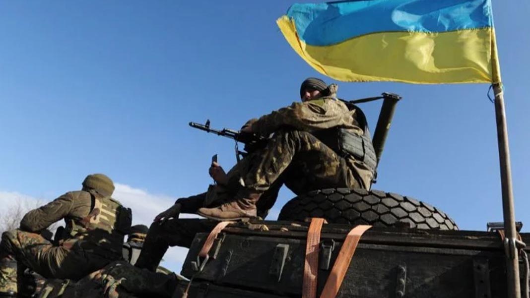 Ukrayna'nın ön savaş cephesi farelerin istilasına uğradı