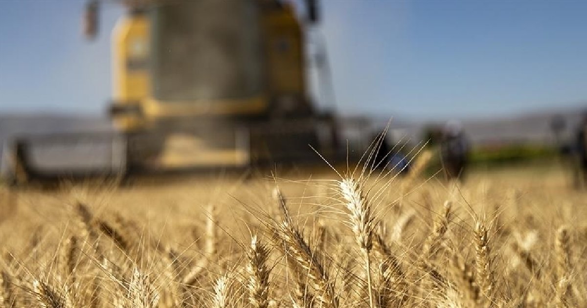 Tarımsal üretim maliyeti arttı