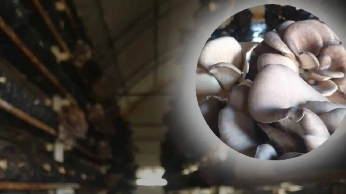 Sermayesi az kazancı çok! Ispartalı girişimci bu yöntemle ayda tam 120 bin TL kazanıyor: Hedefi 5 katına ulaşmak