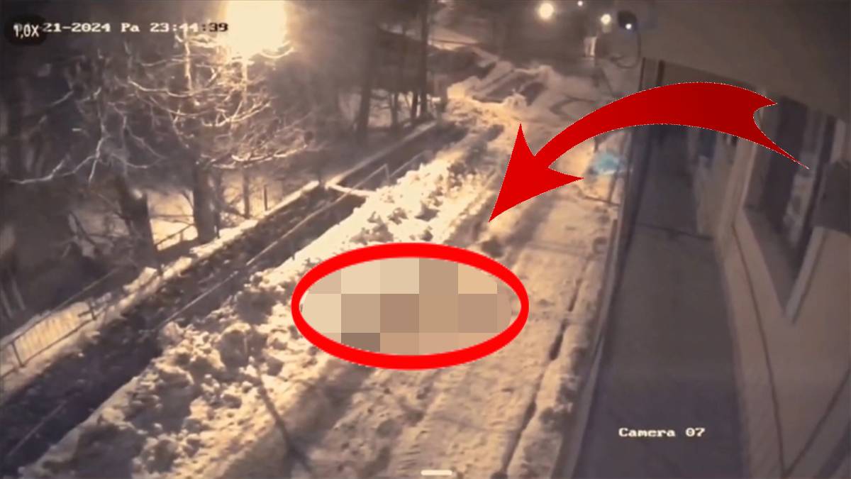 Gece saatlerinde şehre indiler! Kameralara yansıyan bu görüntü korku filmlerini aratmadı: Bölge halkı endişeli