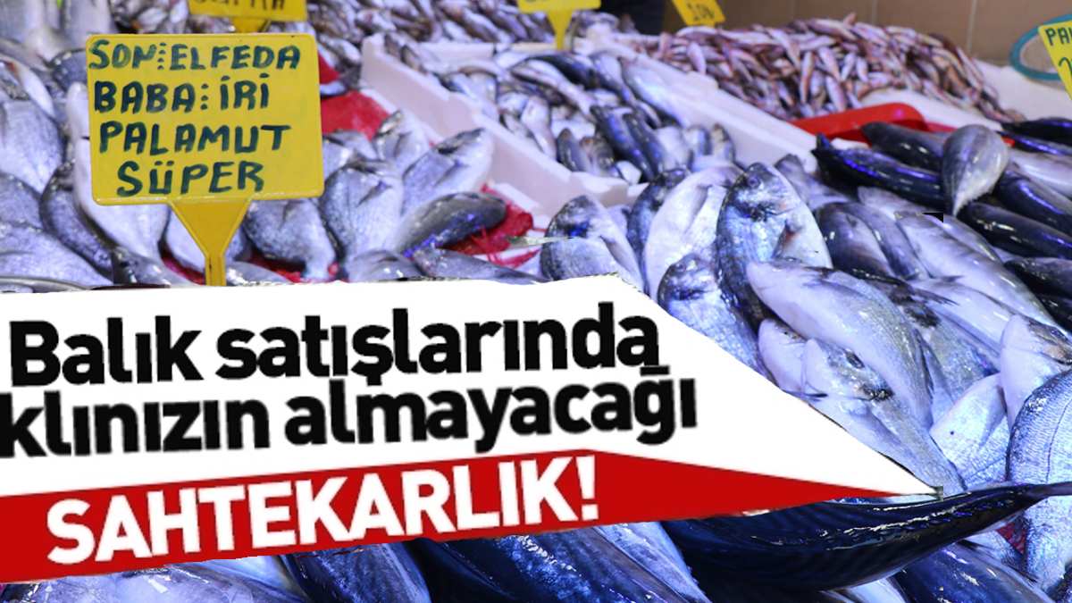 Balığı allayıp pullayıp taze diye sattılar! Sakın görüntüsüne kanmayın! İşte balıkçıların hilesi…