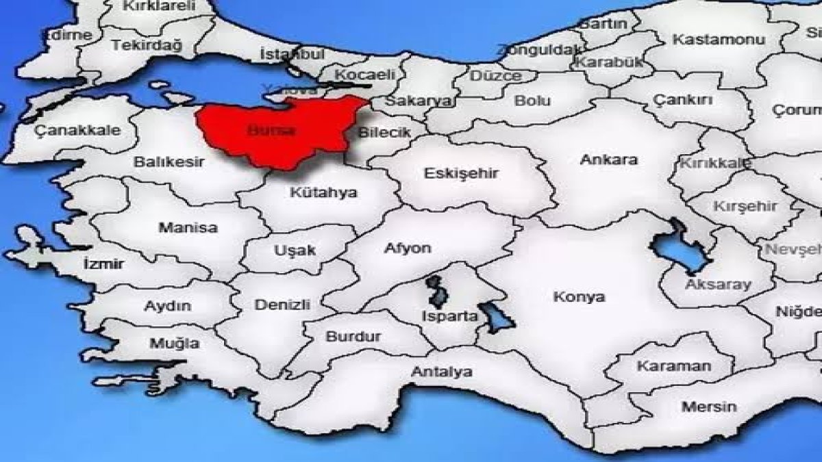 Burası Sibirya değil İznik! O hayvanı gören ‘burada ne işin var’ diyor! Dertli dertli görüntülendi