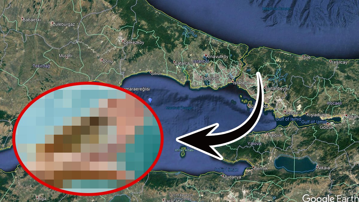 Akdeniz ve Ege'yi yedi bitirdi şimdi sıra Marmara'da! İstila hızla yayılıyor: Önlem alınmazsa bir tane canlı bırakmayacak