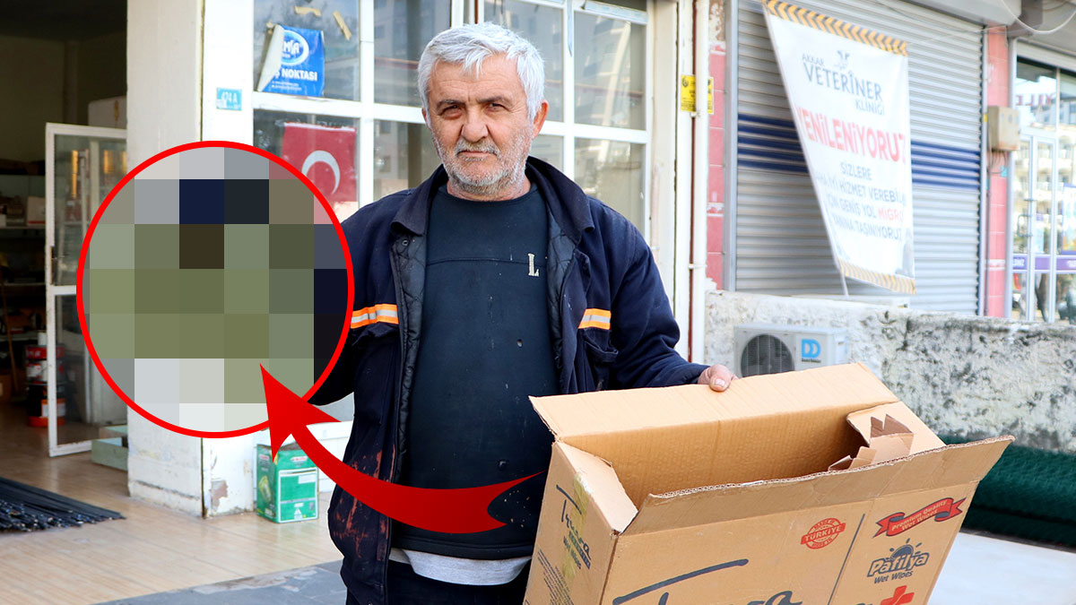 Dolandırıcılar, televizyon siparişi yerine öyle bir şey gönderdi ki...! Bu satış platformunu mesken tuttular, aman dikkat