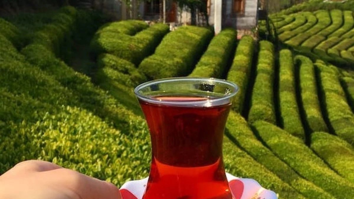 Amerika ve İngiltere'nin çay tartışmasına Rizeliler de katıldı! Asıl Türk çayı içsinler... Püf noktasını açıkladı