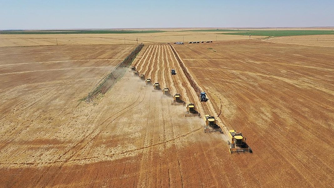 Tarım arazileri yok oluyor: 30 yılda yüzde 13 azalma