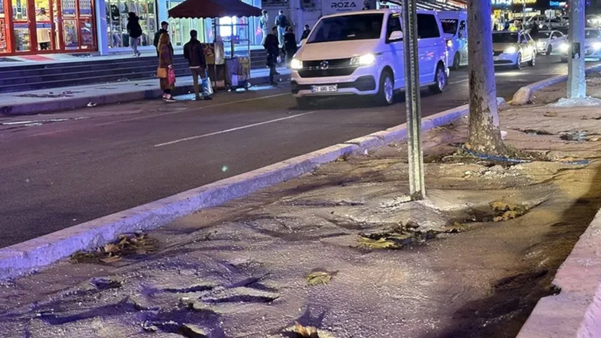 Kayyım belediyeden tepki çeken çalışma: Ağaçlara beton döktüler