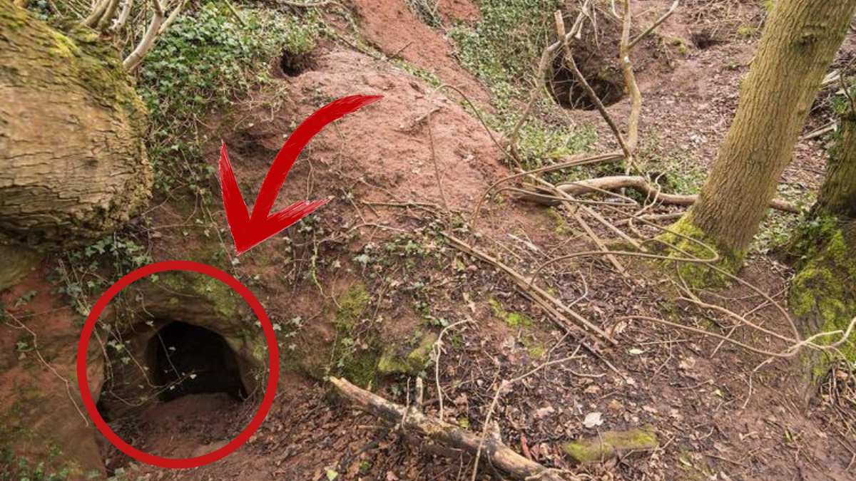 İçinde ayı var sandı bir vaha çıktı! Dünyanın merkezine yolculuk… İçine göz atan bir daha çıkmak istemiyor