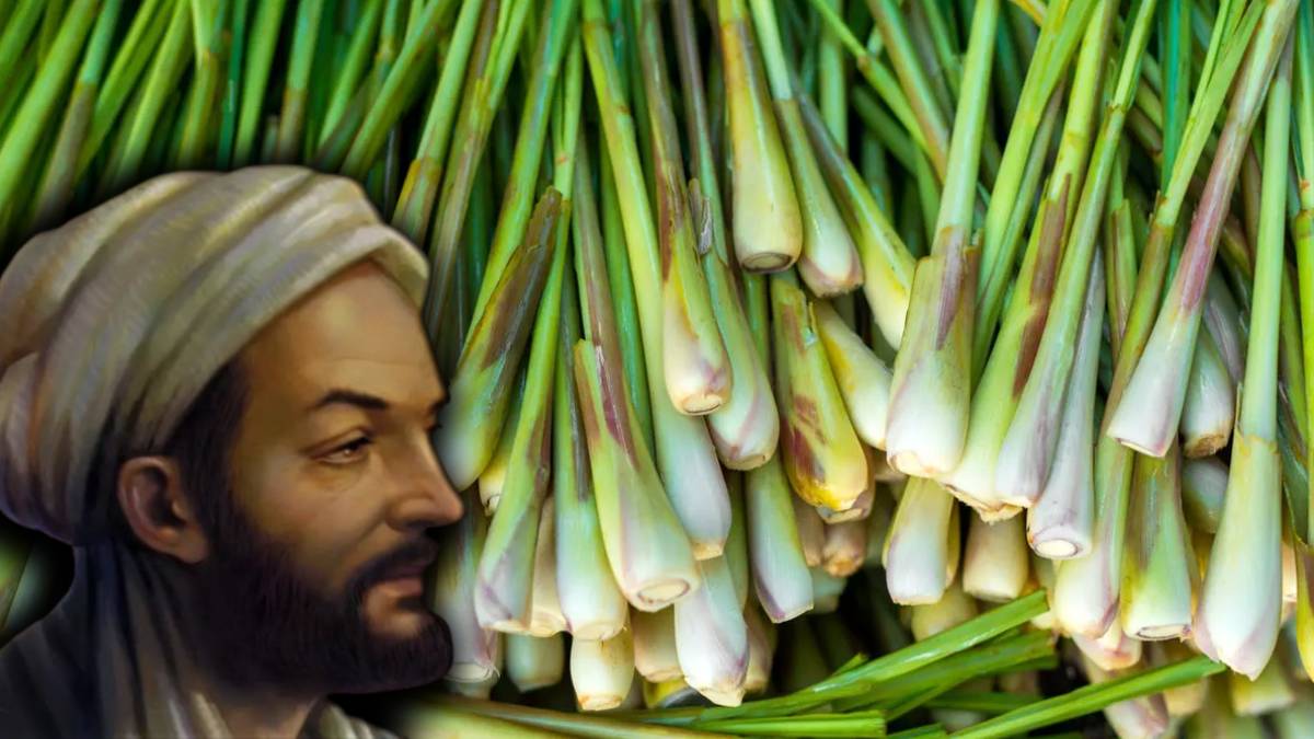 Anadolu halkının yüzyıllardır kullandığı şifa deposu! Bağışıklığı güçlendiriyor iltihabı kesip atıyor