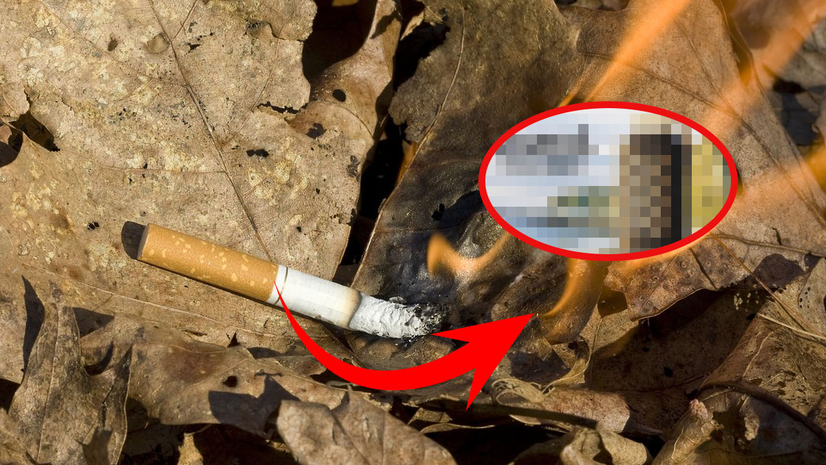 Sigara yerine bunu içenler yandı! Sebebini duyanlar çöpe atacak... Sağlık uzmanları uyardı