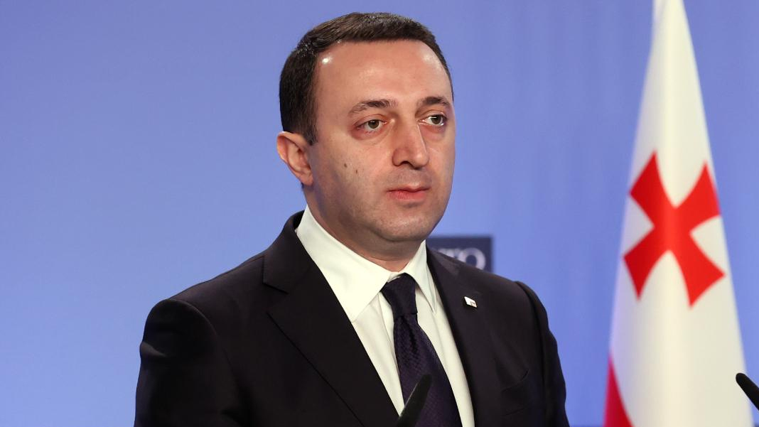 Gürcistan Başbakanı Garibaşvili'den istifa