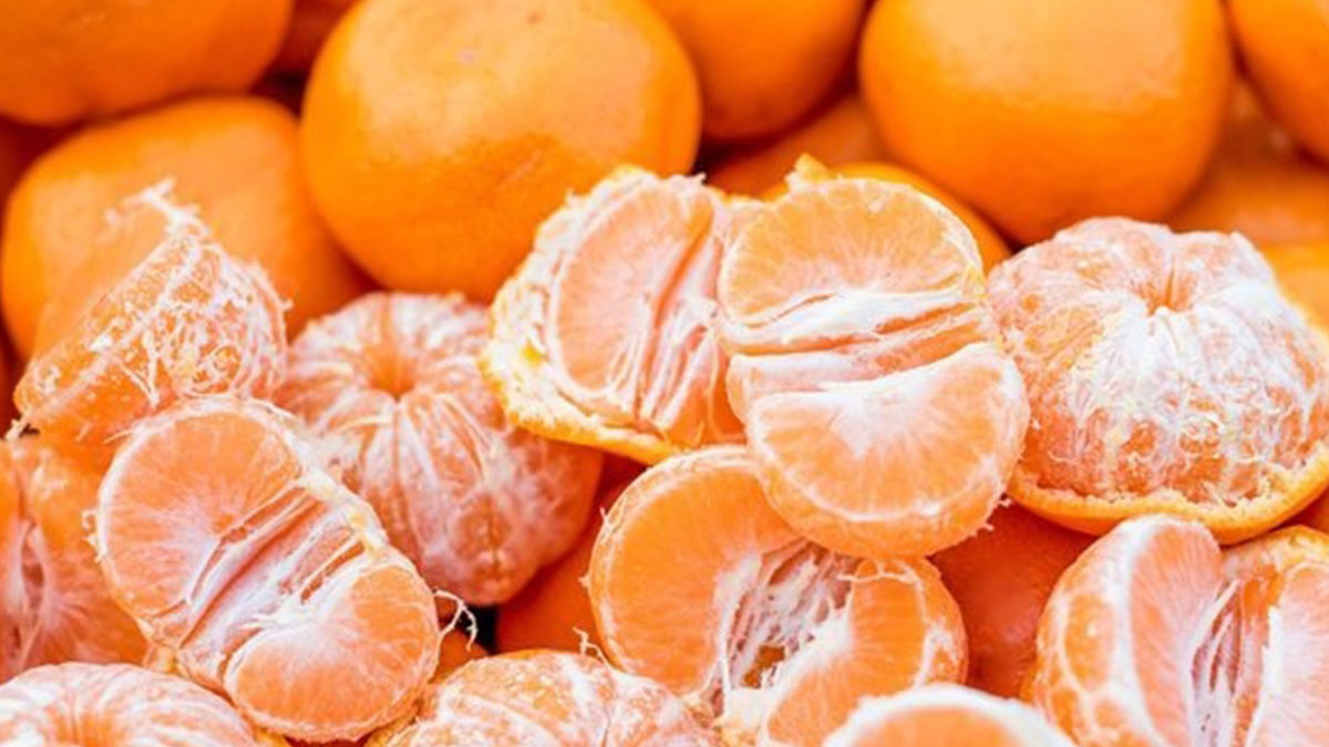 Öksürükten kurtulamayanların devası Çinlilerin mandalina kürü tarifinde! Öksürüğü şıp diye kesiyor